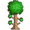 Terraria「1.4.4.9 v4」