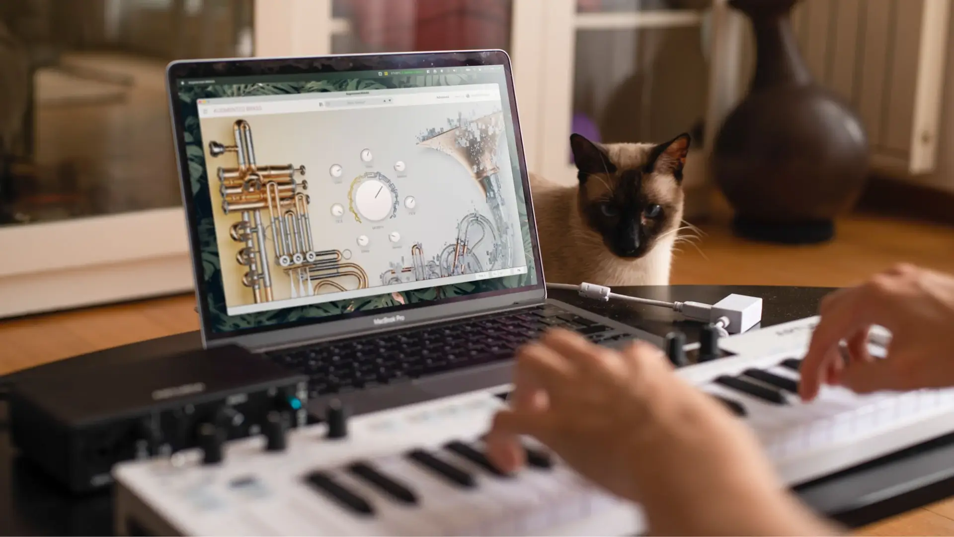 Arturia Augmented BRASS「1.0.1 (3949)」