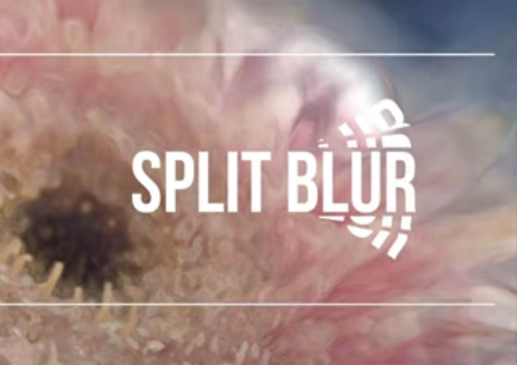 Split Blur「1.1.1」