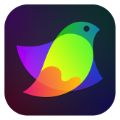 Amadine「1.5.5」
