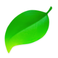 Coda 2「2.7.7」