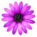 TextMate「2.0.23 (fix)」