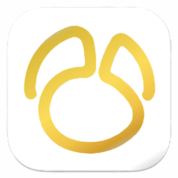 Navicat Premium「16.2.5」