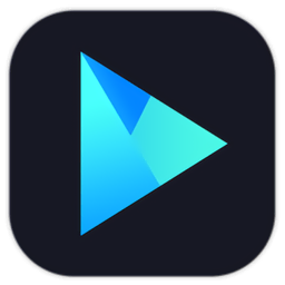Vidmore Player「1.0.58」