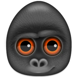 Debookee「8.1.5」