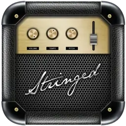 Stringed 2「2.21 」